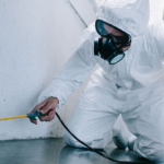 Pest Control services in Hyderabad