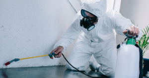 Pest Control services in Hyderabad