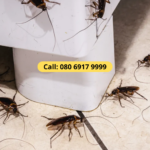 cockroach pest control in Hyderabad