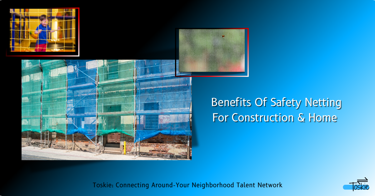 Bird Netting Installation in Hyderabad - Toskie