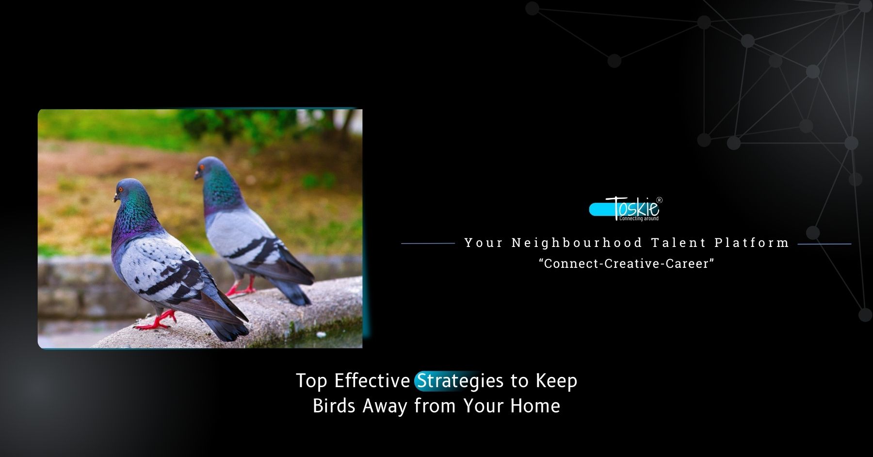 Your Neighbourhood Talent Platform - Toskie