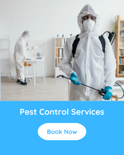 Pest COntrol Services