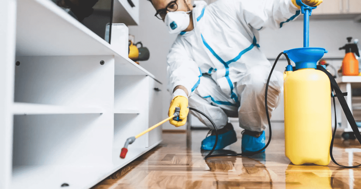 Top 10 Tips for Effective Pest Control Services